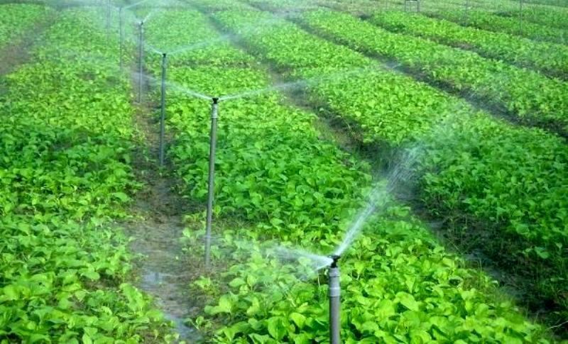 صرفه‌جویی ۵۰ درصدی آب در بخش کشاورزی با محصول ایرانی