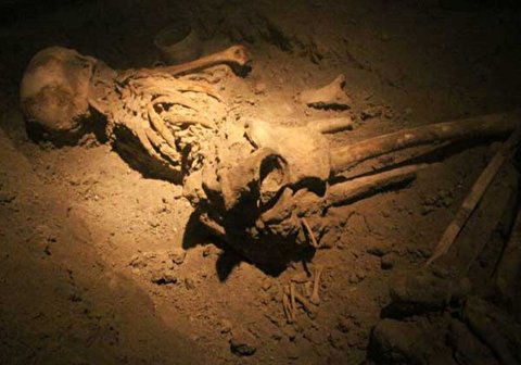 دندان انسان «نئاندرتال» غار وزمه کرمانشاه جهانی شد/ کشف باستان‌شناسی ایران در میان ۱۰ کشف برتر اخیر جهان