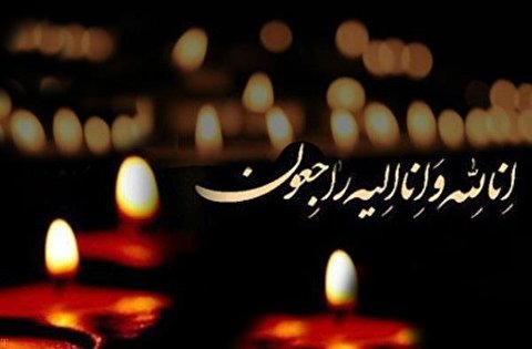 رئیس دانشگاه بین‌المللی D-8 درگذشت مادر شهیدان رستمی را تسلیت گفت